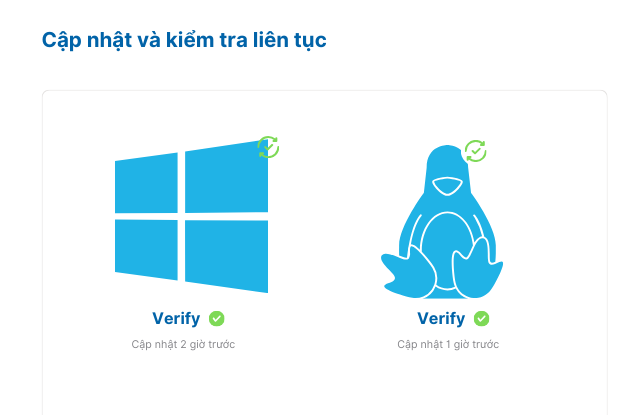 VPS Zone 4 Hỗ trợ VPS Windows và VPS Linux
