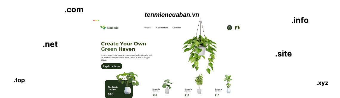 Domain 1 Đăng ký tên miền