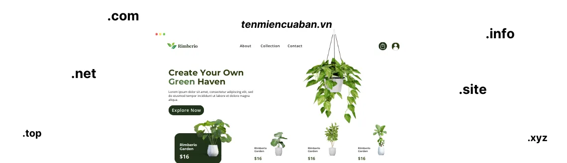 Domain 1 Đăng ký tên miền