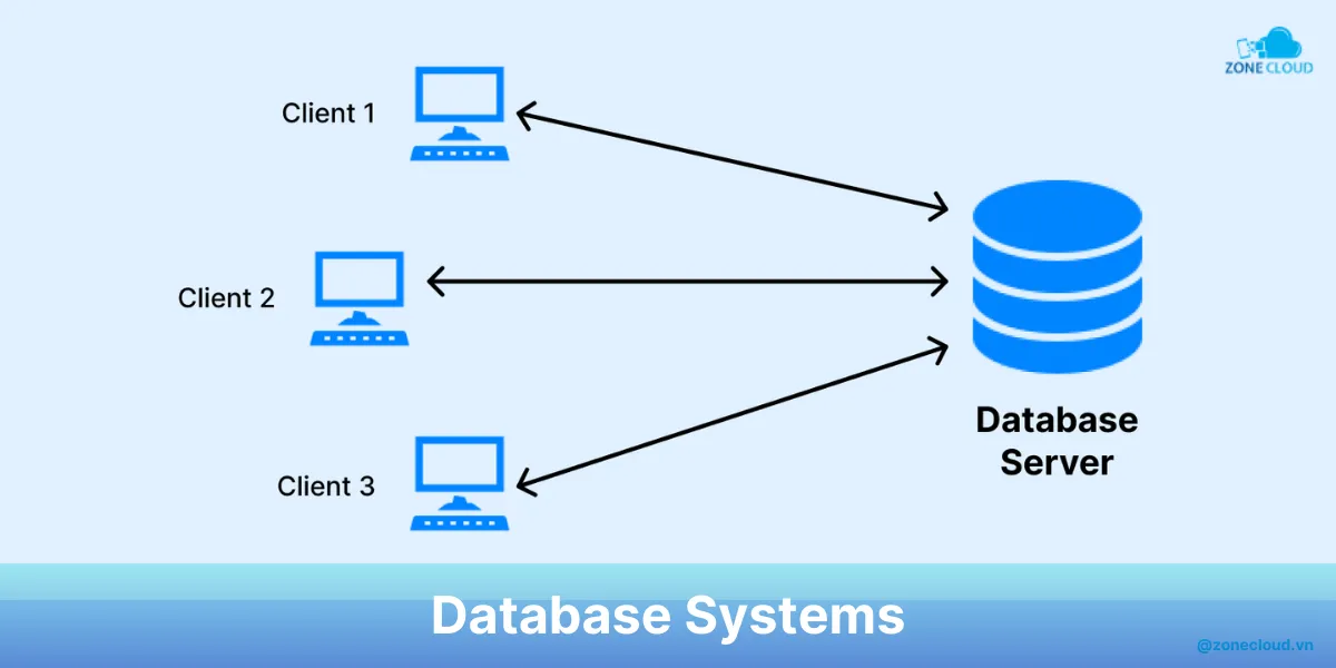 Client Server là gì? Tổng hợp chi tiết về kiến trúc Client - Server 6 Clientt Server Database