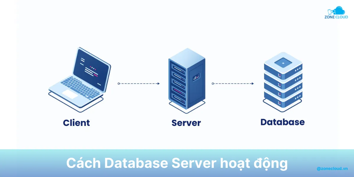 Database Server là gì? Thông tin chi tiết về cấu tạo, mô hình và hệ quản trị phổ biến 2 How database server work