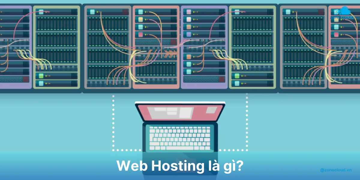 So sánh Web Hosting vs Server - Đâu là lựa chọn phù hợp 1 Host vs Server