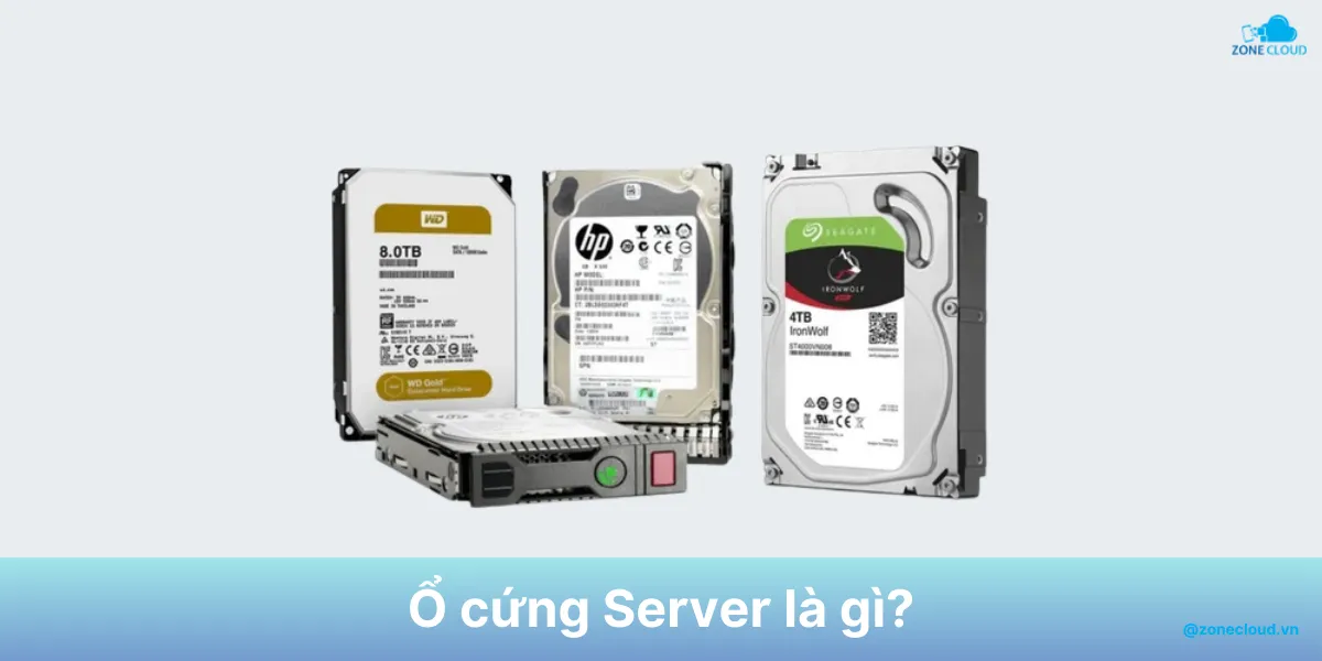 Ổ cứng Server là gì? Thông tin chi tiết về các loại ổ cứng cho Server 1 Ổ cứng Server là gì