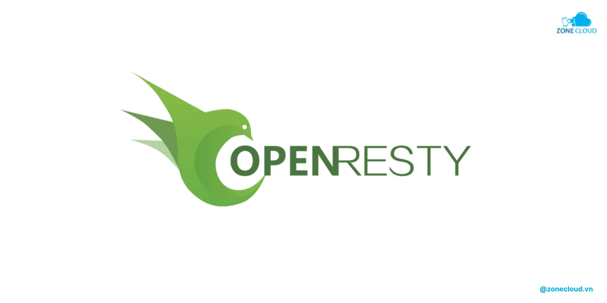 Web Server là gì? Thông tin chi tiết về máy chủ web 13 Máy chủ Web OpenResty