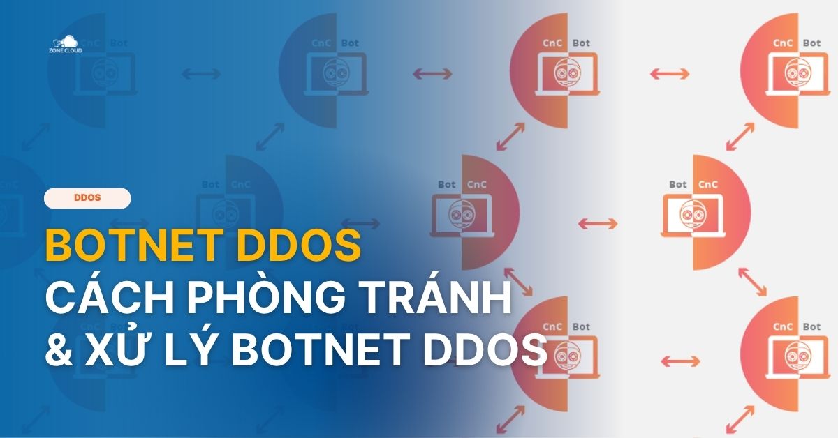 Botnet DDoS