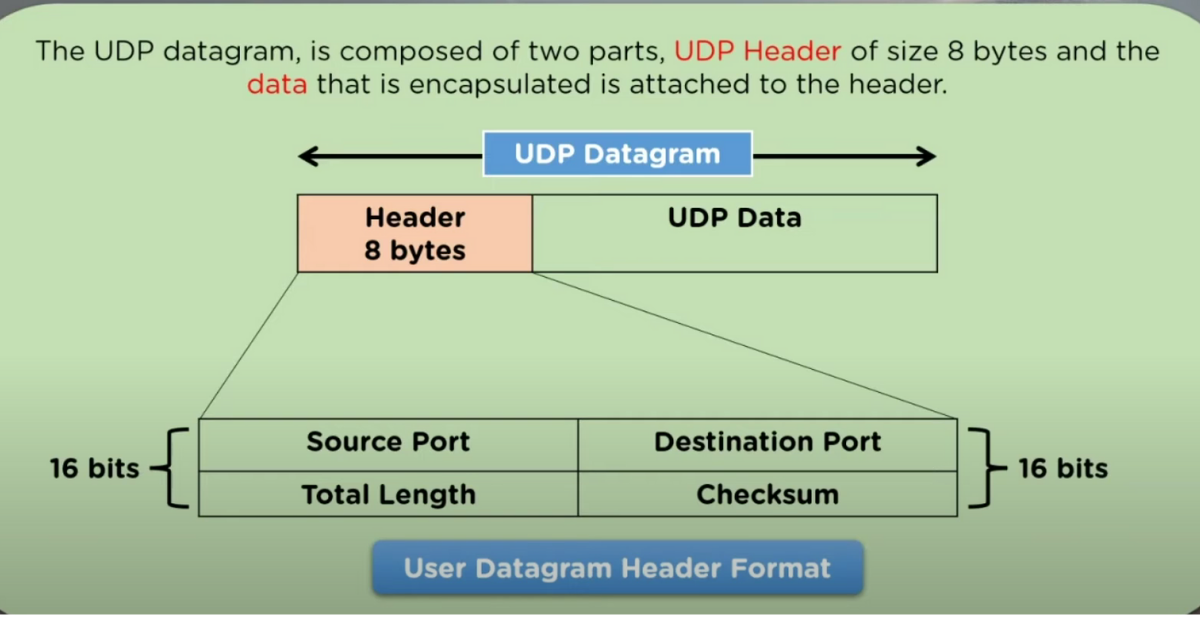 User Datagram Protocol (UDP) là gì? Nguy cơ và cách tối ưu UDP 2 Gói tin UDP Datagrams