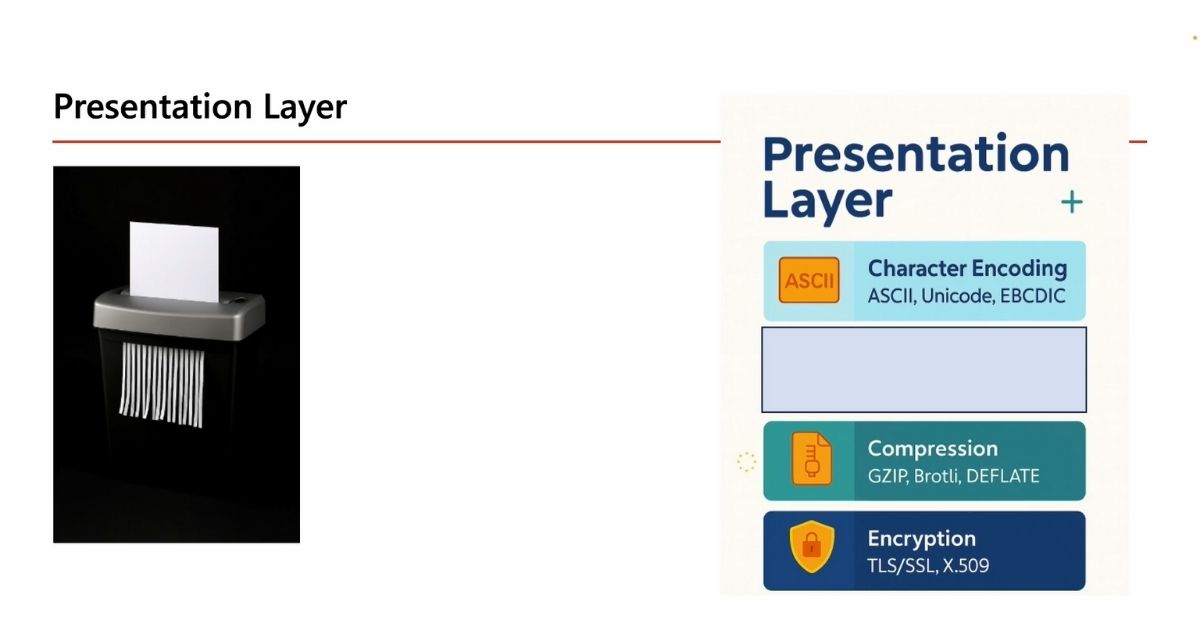 Mô hình OSI là gì? 7 tầng OSI Model và Ứng dụng thực tế 4 Tầng 6_ Presentation layer