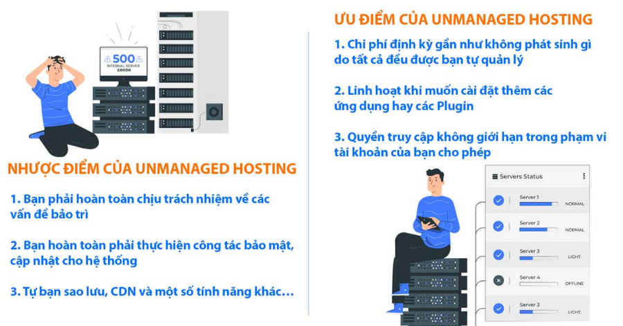 Ưu điểm nổi bật của unmanaged hosting