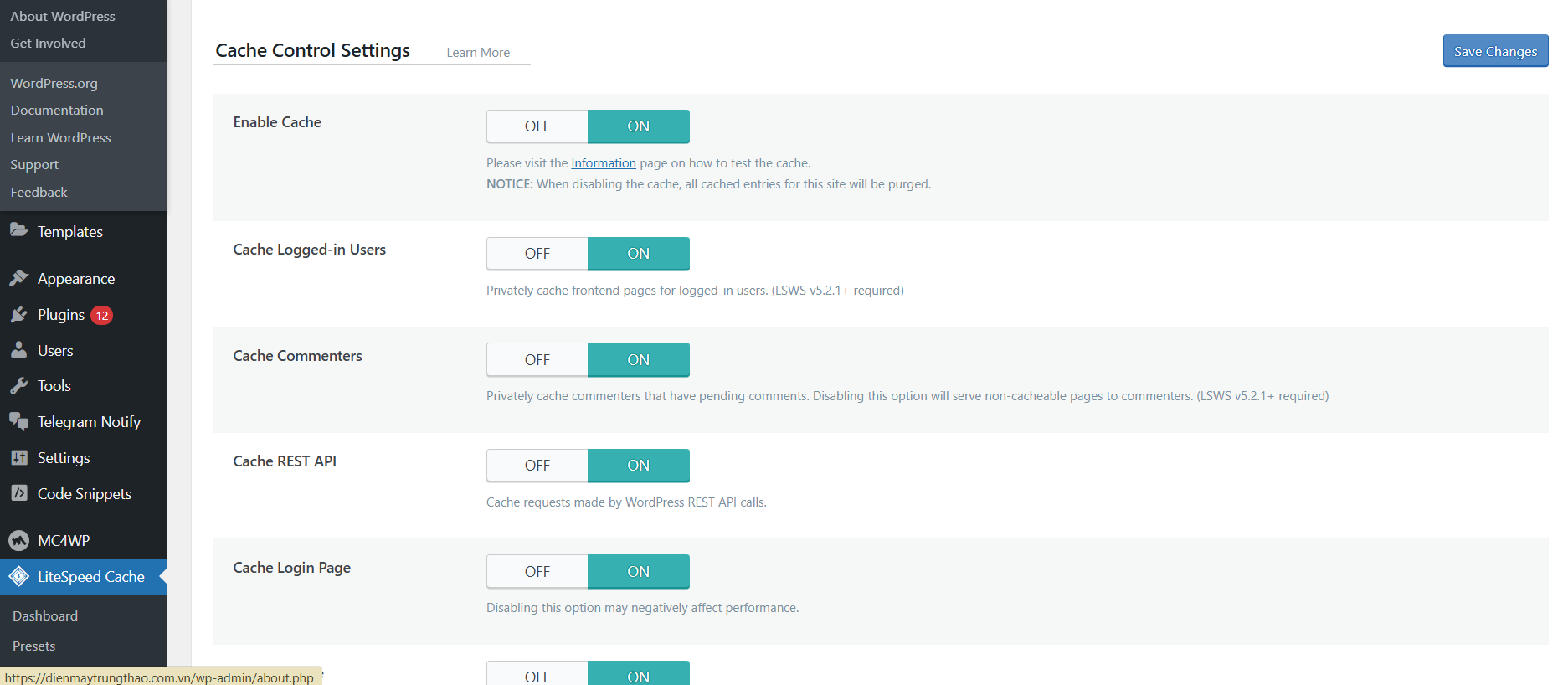 Cấu hình LiteSpeed Cache & Redis Cache