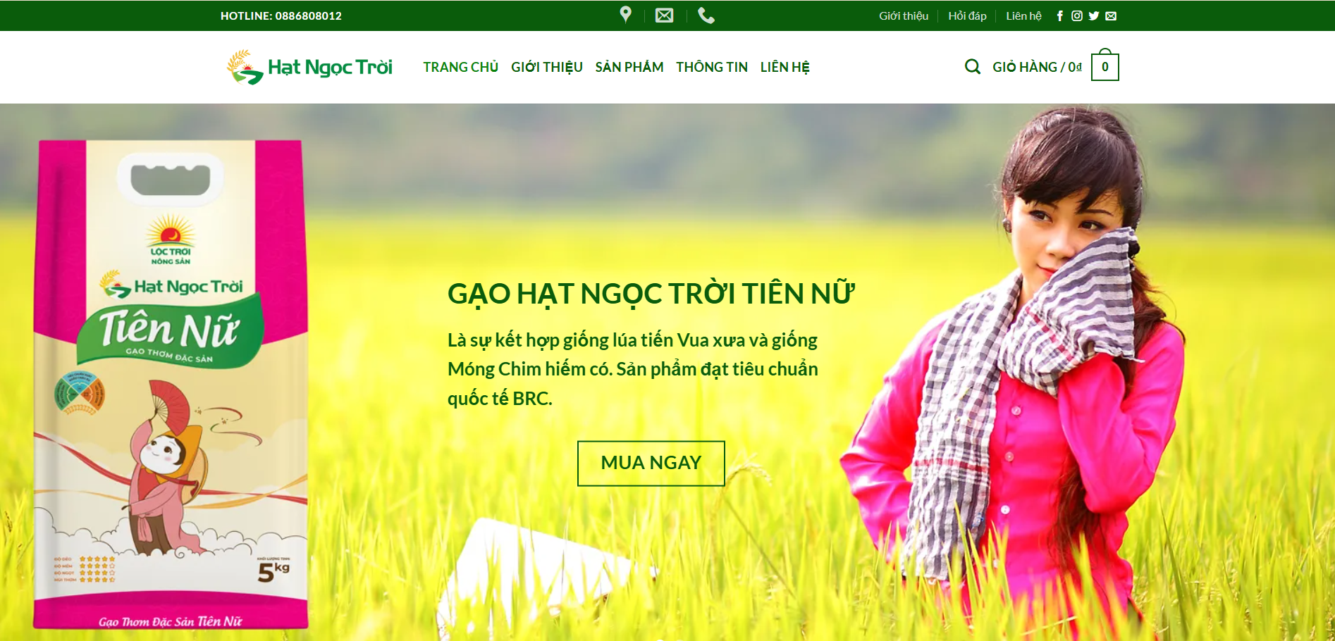 Tối ưu website & hiệu suất